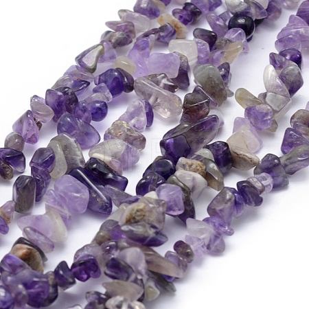 Natural Amethyst Beads Strands G-P332-07-1