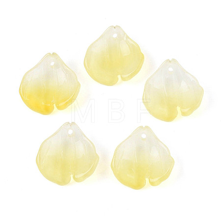 Transparent Glass Pendants GLAA-T030-05-01-1