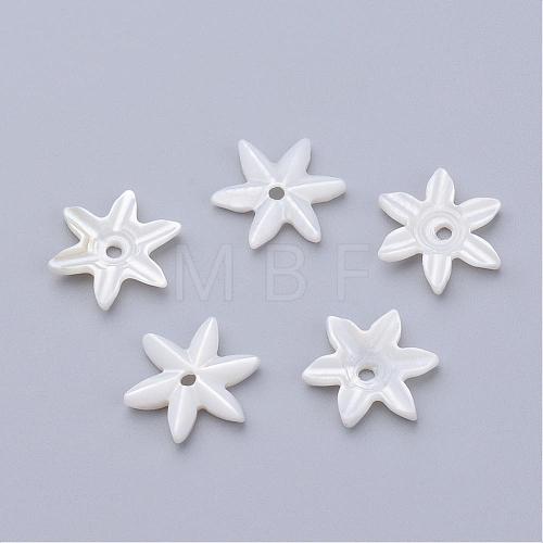 Natural Freshwater Shell Beads SHEL-Q007-08-1