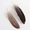 Goose Feather Costume Accessories FIND-Q044-03-1