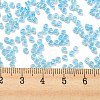 Electroplate Transparent Glass Seed Beads SEED-S042-16A-02-4