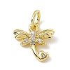 Brass Micro Pave Cubic Zirconia Charms ZIRC-F132-21G-1