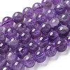 Natural Amethyst Beads Strands G-S031-1-1