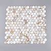 Natural Freshwater Shell Mosaic Tile Cabochons SHEL-Q029-04-3