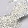 12/0 Glass Seed Beads X2-SEED-A005-2mm-21-1