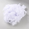 Polyester Pleated Lace Trim OCOR-WH0082-261C-2