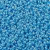 MIYUKI Round Rocailles Beads SEED-JP0010-RR0433-3