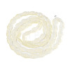 Frosted Glass Beads Strands GLAA-T023-40C-08-2