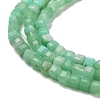 Natural Chrysoprase Beads Strands G-B088-E19-02-4