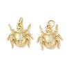 Halloween Brass Charms KK-T085-20A-G-1