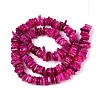 Natural Freshwater Shell Beads Strands SHEL-T020-40A-2