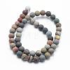 Natural Ocean Agate/Ocean Jasper Beads Strands G-G716-02-6mm-2