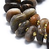 Natural Blcak Moonstone Beads Strands G-K245-H07-01-3