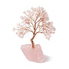 Natural Rose Quartz Tree Display Decoration DJEW-G027-08RG-03-1