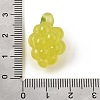 Opaque Resin Imitation Fruit Pendants RE-CBAE54B-02D-3