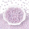 FGB Inside Colours Transparent Glass Seed Beads SEED-T009-01F-1