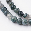 Natural Moss Agate Bead Strands G-G735-62-6mm-3