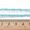 Electroplate Transparent Glass Beads Strands EGLA-P061-04C-AB20-4