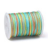 Segment Dyed Polyester Thread NWIR-I013-D-05-2