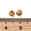 304 Stainless Steel Beads STAS-L315-056G-2