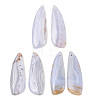 Natural Blue Lace Agate Pendants G-K381-25-1