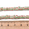 Handmade Lampwork Beads Strands BLOW-K001-01B-01-3