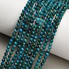 Natural Chrysocolla Beads Strands GG-CBA77FB-B12-3mm-1