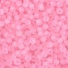 FGB Frosted Transparent Glass Seed Beads SEED-N013-04A-05-3