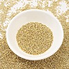 MIYUKI Delica Beads SEED-J020-DB0034-2