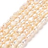 Natural Keshi Pearl Beads Strands PEAR-E016-102-1