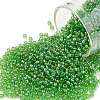 TOHO Round Seed Beads SEED-XTR11-0167-1