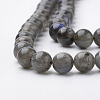 Natural Labradorite Beads Strands G-S150-47-8mm-3