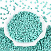 FGB Baking Paint Glass Seed Beads SEED-Q040-09A-13-2