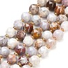 Natural Ocean Agate/Ocean Jasper Beads Strands GG-CBA3921-B14-8mm-2