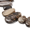 Natural Petrified Wood Beads Strands G-C253-06-4