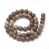 Natural Petrified Wood Beads Strands G-Q462-136-6mm-2