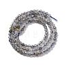 Natural Labradorite Beads Strands G-G188-B11-01-3