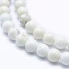 Natural Magnesite Beads Strands TURQ-G148-09-6mm-3