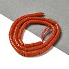 Synthetic Coral Beads Strands G-H230-50-2
