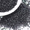 MIYUKI Delica Beads SEED-MY11-DB0606-1