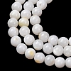 Natural Freshwater Shell Beads Strands SH-CBA2978-07D-04-2