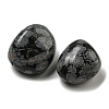 Natural Snowflake Obsidian Beads G-G123-04-2
