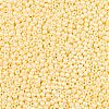 11/0 Grade A Baking Paint Glass Seed Beads X-SEED-N001-A-1034-3