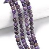 Natural Charoite Beads Strands G-C270-O02-04-1