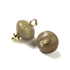 Natural Unakite Rondelle Charms with Rack Plating Brass Loops G-G110-05B-15-2