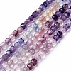 Natural Fluorite Beads Strands G-G991-C01-1