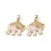 Brass Micro Pave Cubic Zirconia Pendants KK-F924-20B-G02-1