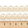 Glass Pearl Beads Strands HY-G002-01E-02-5