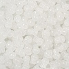 Transparent Colours Glass Seed Beads SEED-R001-01A-3