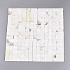 Natural Freshwater Shell Mosaic Tiles Cabochons SHEL-Q029-06-3